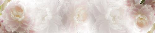 2d35cb81e6c93b9f3435d9a1ab18eef5