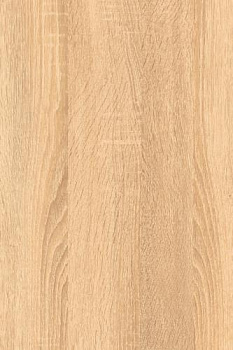 2591911_buk-natur--275kh183-drevpory-