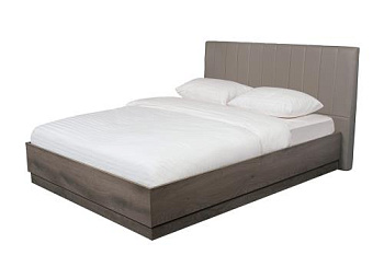 дуб Гамильтон