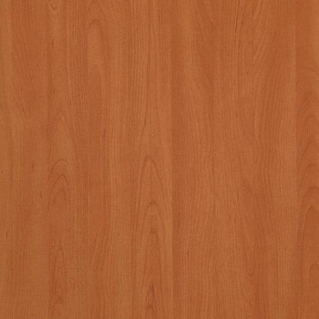 2591911_buk-natur--275kh183-drevpory-