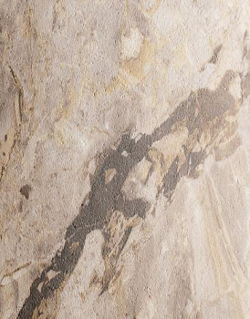 190БТ Версаль /столешница влагост. 3000*600/38 R3