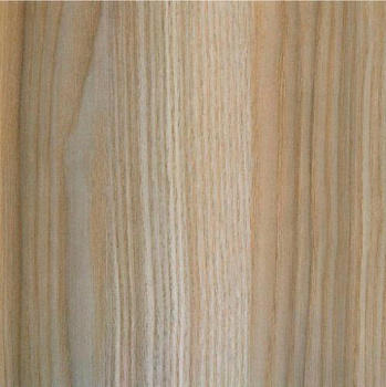 2591911_buk-natur--275kh183-drevpory-