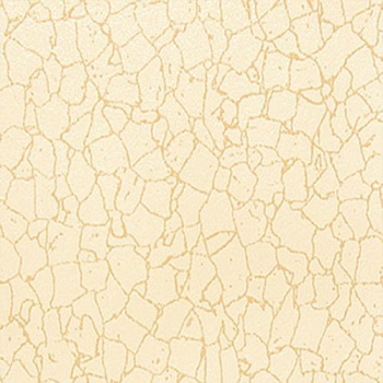 20060-1
