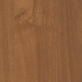 2591911_buk-natur--275kh183-drevpory-