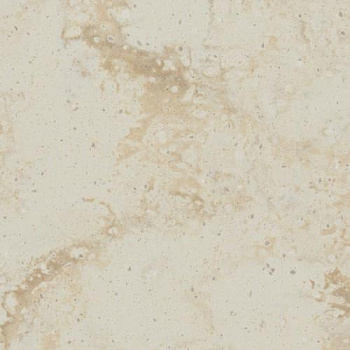 06__Dandelion__700-500x500