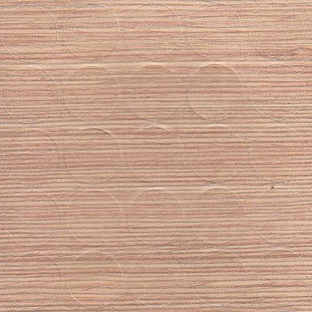 ae01a7b742c58486a436d0987a77