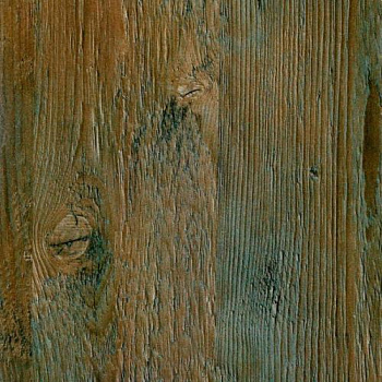 2591911_buk-natur--275kh183-drevpory-
