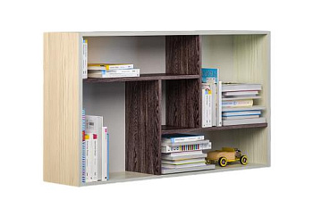 сосна скандинавия