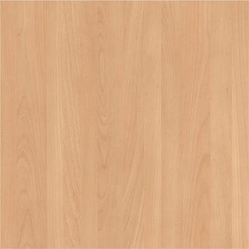 2591911_buk-natur--275kh183-drevpory-