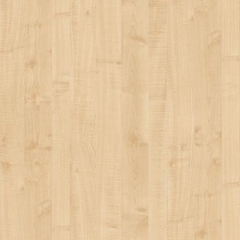 2591911_buk-natur--275kh183-drevpory-