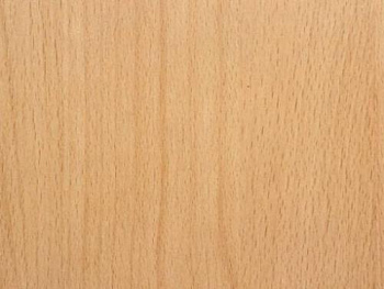 2591911_buk-natur--275kh183-drevpory-