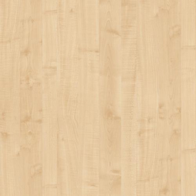 2591911_buk-natur--275kh183-drevpory-