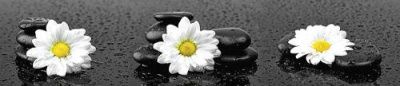 e92d42ebce3d4a063d1d1543cbd776aa
