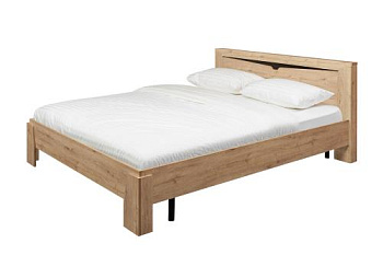 дуб Бонифаций