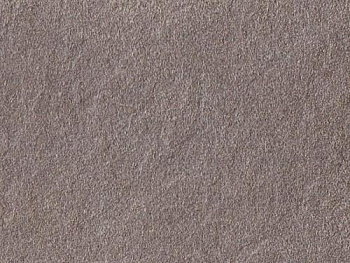 2592350_kofeynyy-prirodnyy-slanets