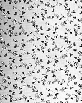 zerkalo-rozy-ii-gm-6014-2019-01-02-16-41-10