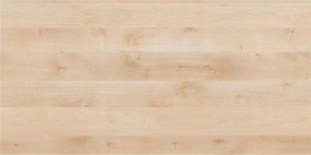 2591911_buk-natur--275kh183-drevpory-