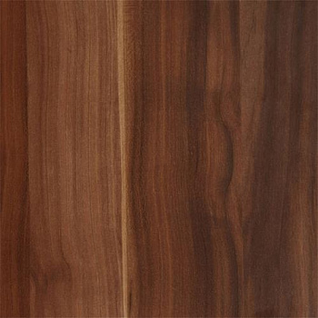 2591911_buk-natur--275kh183-drevpory-