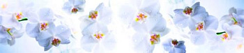 13267c0f616eb8030bee0b5a6f511fdb