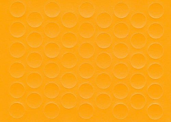 927183_1579_zheltaya