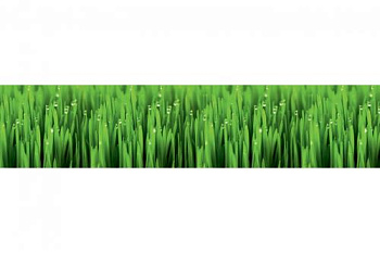 весенняя роса