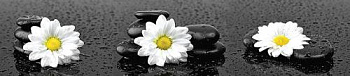 e92d42ebce3d4a063d1d1543cbd776aa